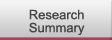 Research Summary